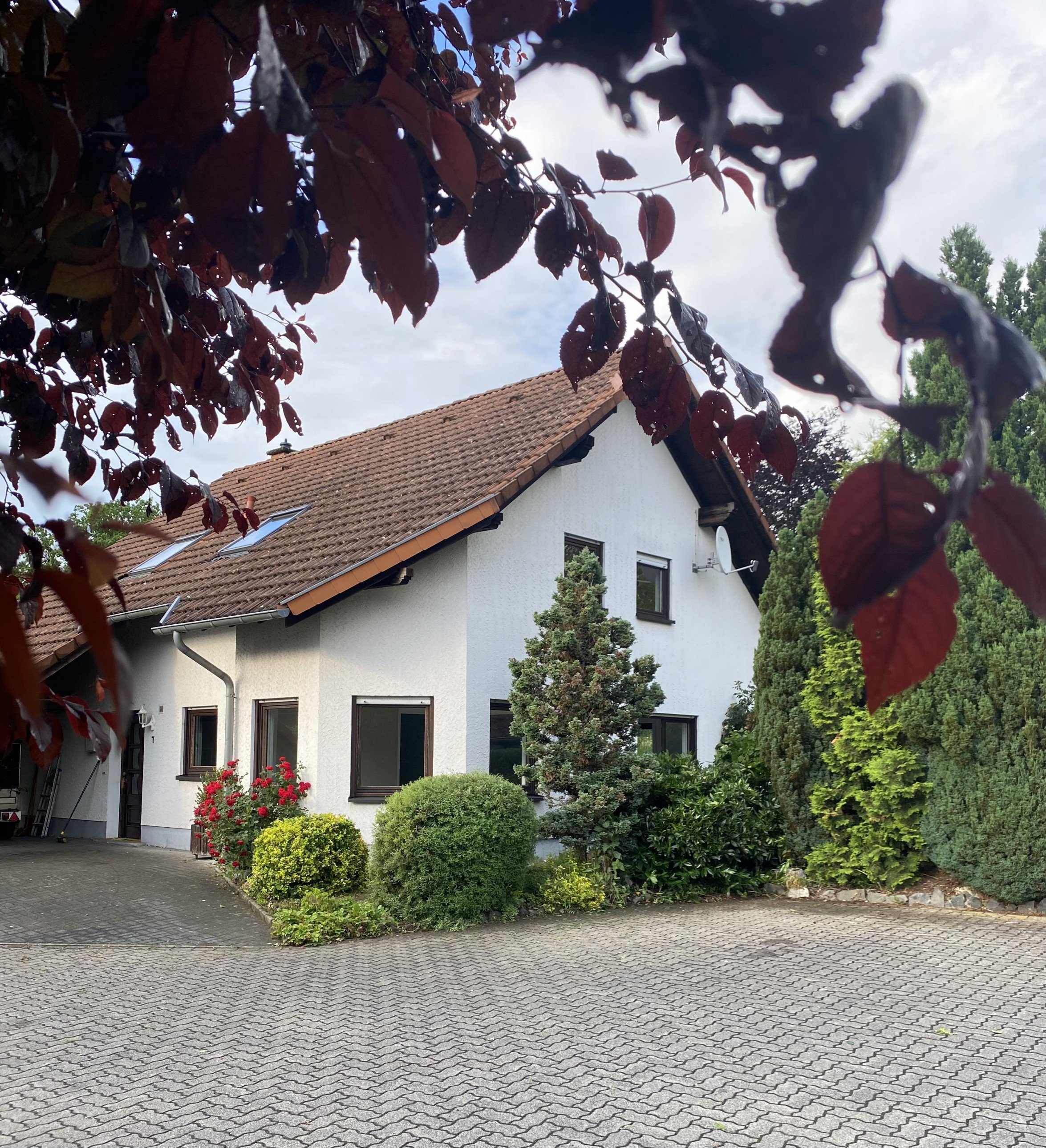 Foto Einfamilienhaus in Toplage von Wissen !