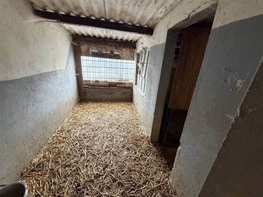 Hundezwinger Einfamilienhaus Oberneisen