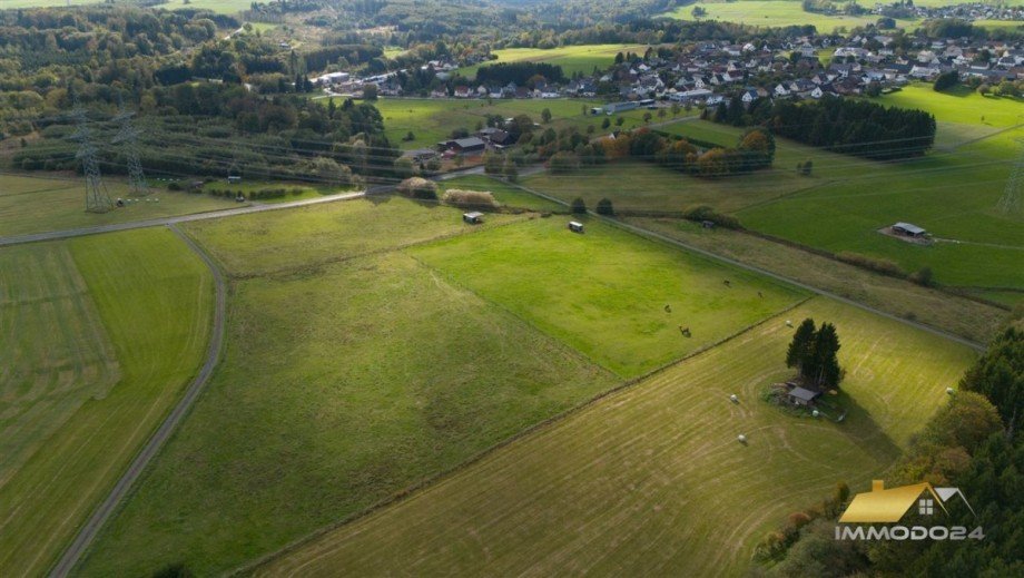 Weiden Reiterh�fe Bad Marienberg (Westerwald)