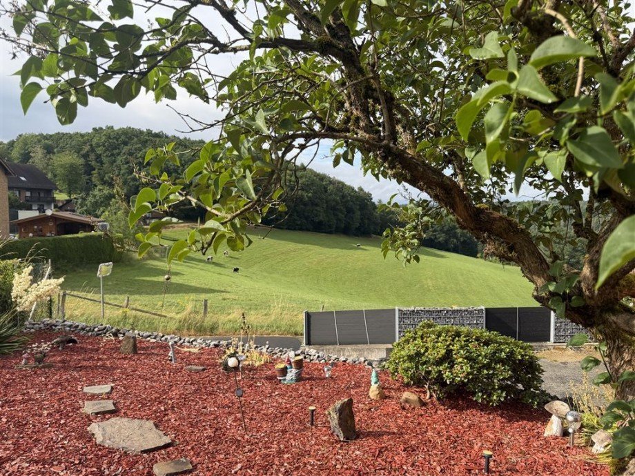Garten Ausblick Einfamilienhaus Bitzen b Wissen, Sieg